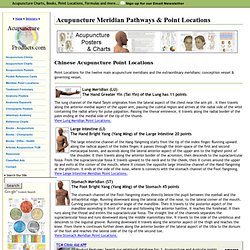 Chinese Acupuncture Meridian Pathways and Point Locations