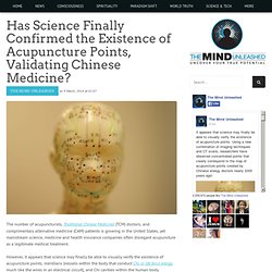 Has Science Finally Confirmed the Existence of Acupuncture Points, Validating Chinese Medicine?