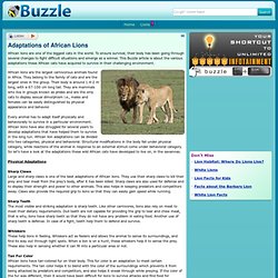 Adaptations of African Lions
