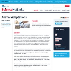 Animal Adaptations incl. teacher info