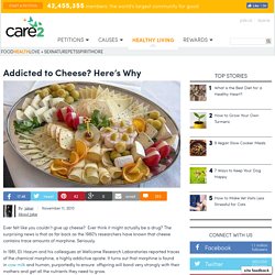 Addicted to Cheese? Here's Why