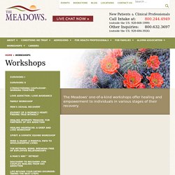 Addiction and Trauma Workshops