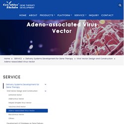 Adeno-associated Virus Vector