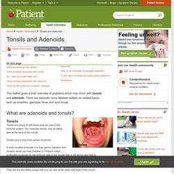 Adenoids and Tonsils. What are adenoids and tonsils?