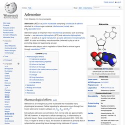 Adenosine