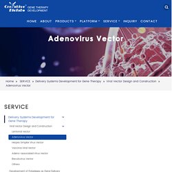Adenovirus Vector