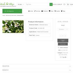 Adhatoda Vasica Natural & Ayurvedic Herbs Wholesale Supplier India
