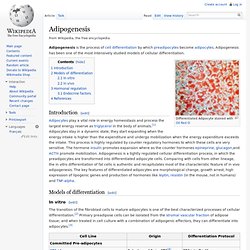 Adipogenesis