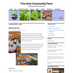 Five Acre Community Farm