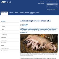 ETHZ_CH 29/06/18 Administering hormones affects DNA