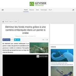 Admirez les fonds marins grâce à une caméra embarquée dans un panier à crabe