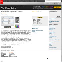 After Effects Scripts