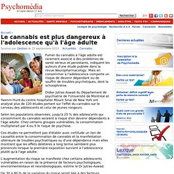 Le cannabis est plus dangereux à l'adolescence qu'à l'âge adulte