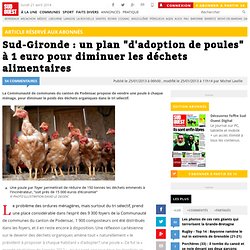 Sud-Gironde : un plan "d'adoption de poules" à 1 euro pour diminuer les déchets alimentaires