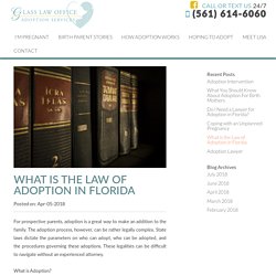 WHAT IS THE LAW OF ADOPTION IN FLORIDA