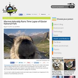 Marmot Adorably Ruins Time Lapse of Glacier National Park