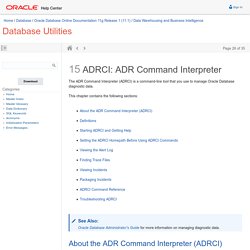 ADRCI: ADR Command Interpreter
