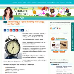 Adrenal Fatigue: Tips to Restoring Your Energy and Your Health