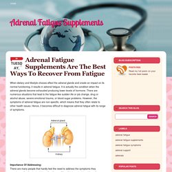 Adrenal Fatigue Supplements Are The Best Ways To Recover From Fatigue