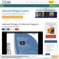 Comprehensive Adrenal Fatigue Article