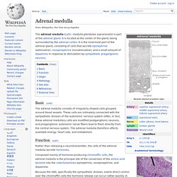 Adrenal medulla