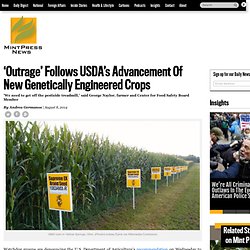 'Outrage' Follows USDA's Advancement Of New Genetically Engineered Crops