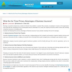 What Are the Three Primary Advantages of Business Insurance?