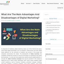What Are the Main Advantages and Disadvantages of Digital Marketing – Digital Catalyst