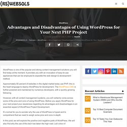 Advantages and Disadvantages of WordPress - Let's Find Out!