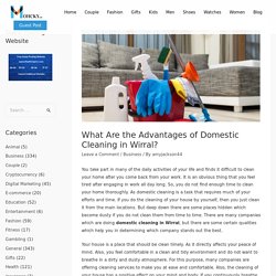 What Are the Advantages of Domestic Cleaning in Wirral? - Mohcky.com - Free Guest Posting Website