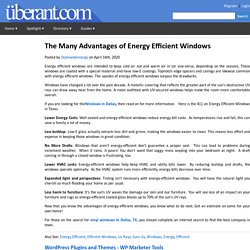 The Many Advantages of Energy Efficient Windows