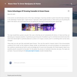 Some Advantages Of Growing Cannabis In Green House
