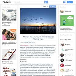 What are the Advantages of Guided Goose Hunting Trips