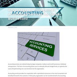 Advantages of Professional Accounting Services For Small Businesses!