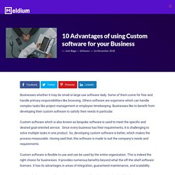 10 Advantages of using Custom software for your Business