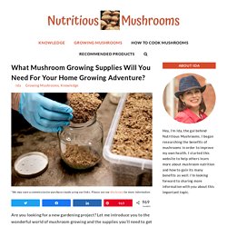 What Mushroom Growing Supplies Will You Need For Your Home Growing Adventure? - Nutritious Mushrooms