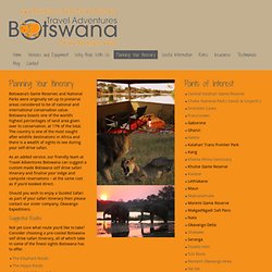 Planning Your Botswana Self Drive SafariTravel Adventures Botswana