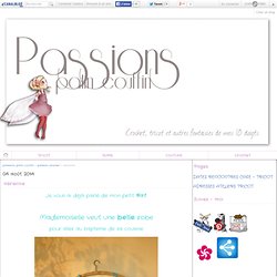 aérienne - passions, patin couffin