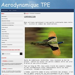 - Aerodynamique TPE