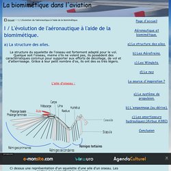 I / L'évolution de l'aéronautique à l'aide de la biomimétique.