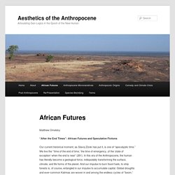 Aesthetics of the Anthropocene