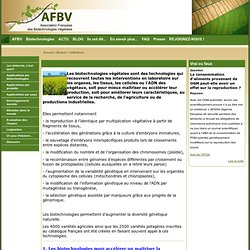 AFBV: Biotechnologie végétale