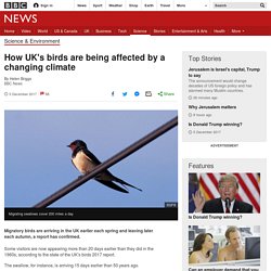 How UK's birds are being affected by a changing climate