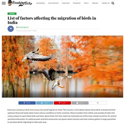 List of factors affecting the migration of birds in India – Freakingtech.com