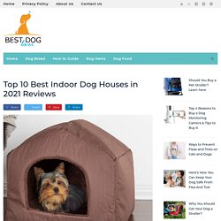 Best Affordable Indoor Dog Houses in 2021