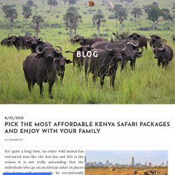 Pick The Most Affordable Kenya Safari Packages And Enjoy With Your Family - African Jesmal Safari