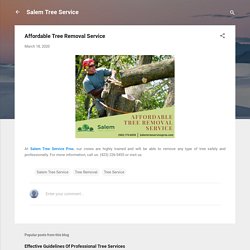 Affordable Tree Removal Service