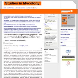 STUDIES IN MYCOLOGY 30/06/11 Two new aflatoxin producing species, and an overview of Aspergillus section Flavi