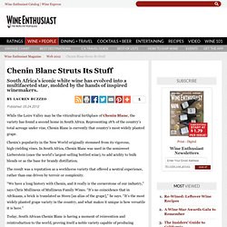 South Africa's Chenin Blanc Wine Brands & Tasting Notes