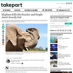 African Elephant Kills His Poacher and People Aren't Exactly Sad